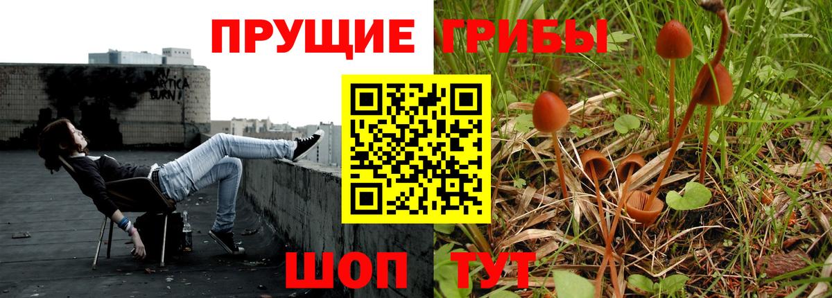 Галлюциногенные грибы GOLDEN TEACHER  Вход с VPN  Кимовск 